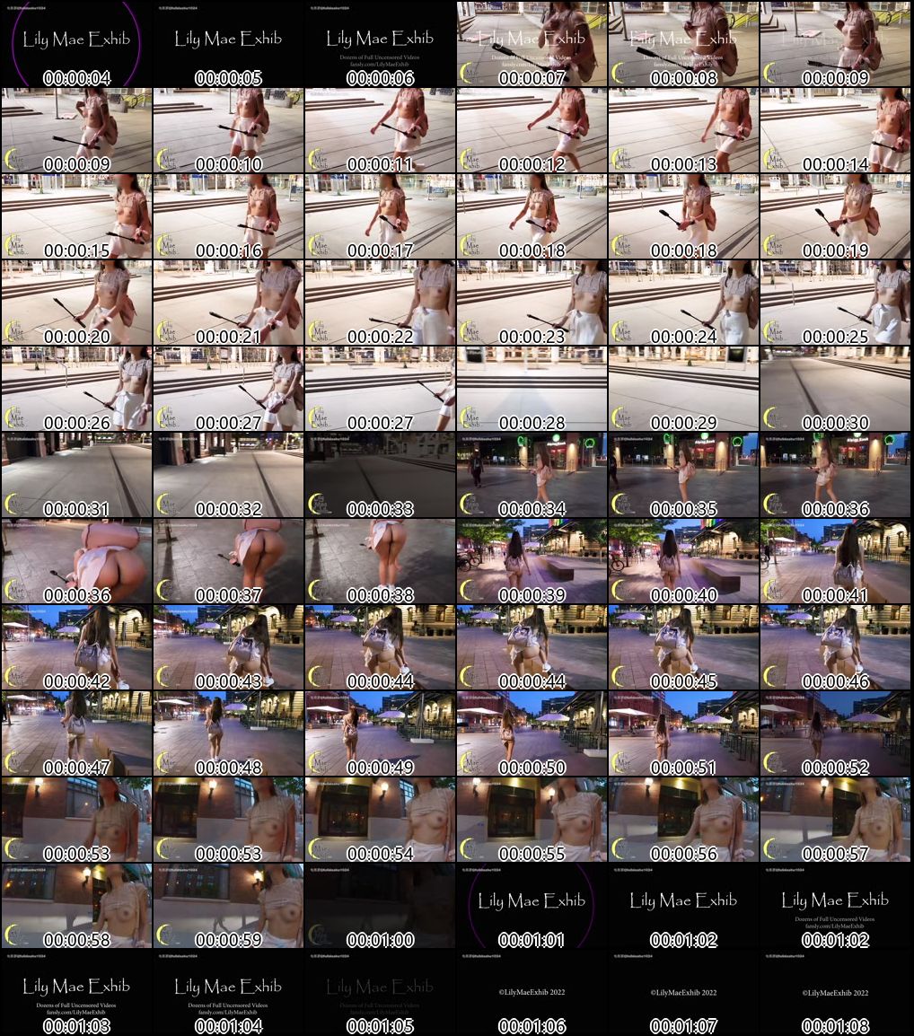 P站LilyMaeExhib多场合露出爱好者精彩合集_8