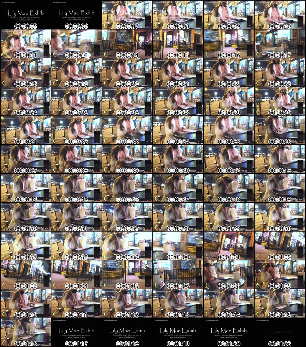 P站LilyMaeExhib多场合露出爱好者精选