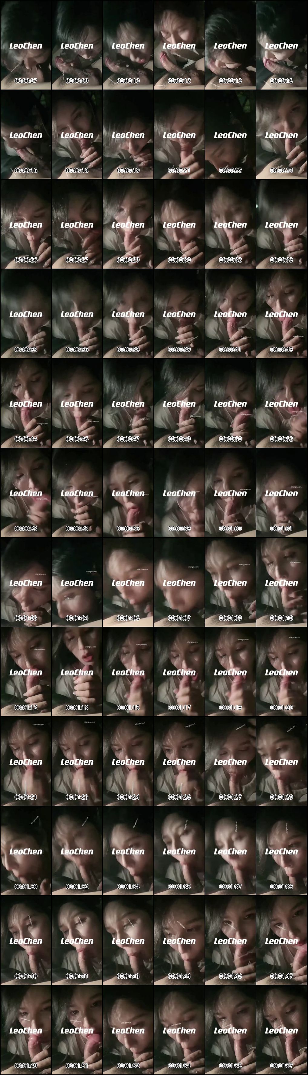 绝版珍藏_leochen最新独家流出三部合集