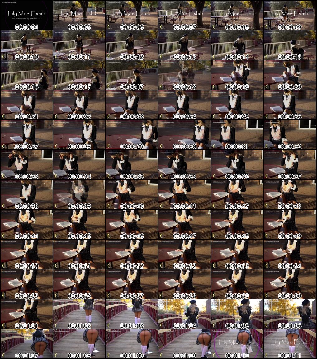 P站热门Lily Mae露出爱好者精选合集