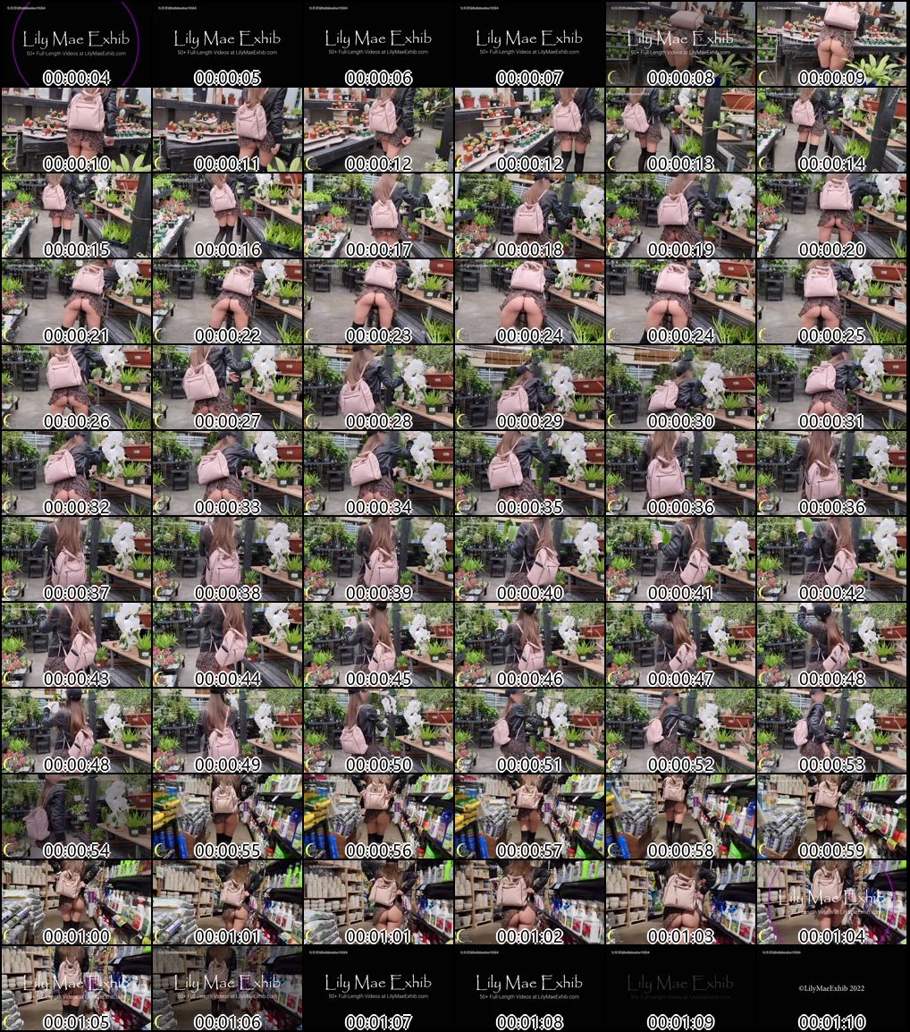 P站LilyMaeExhib多场合露出爱好者精彩合集_2