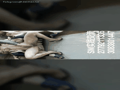 极品女神变身母狗_强制调教潮吹高潮_捆绑露出私拍流出_欲仙欲死的极致快感