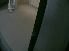 绝美00后抖音女神被私房大神甜言蜜语哄骗上床_手脚并用狂野玩弄私密激情流出