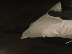 良家反差婊的自拍泄密合集_私密诱惑让人血脉喷张欲火焚身