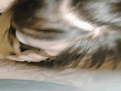 高颜值女大学生雪儿反差婊私拍曝光_穿衣女神变身骚浪尤物_车震放尿自慰无套狂欢高潮迭起