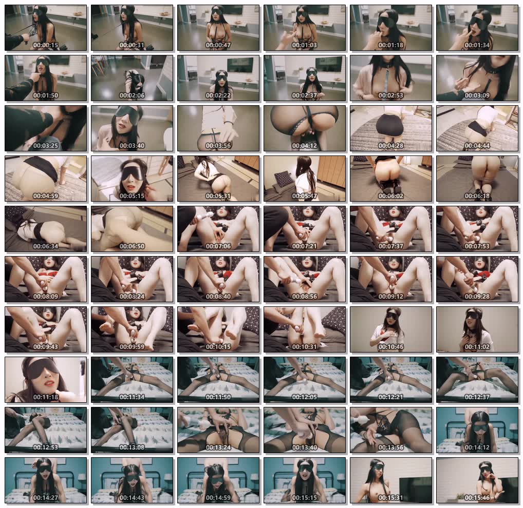 调教风骚的御姐小母狗